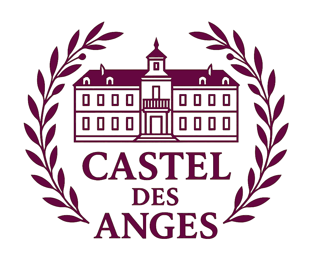 Logo Le Castel des Anges - Château chambres d'hôtes Wailly-Beaucamp
